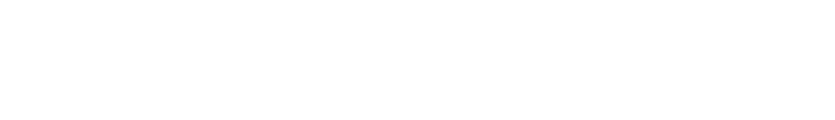 Noritamy Logo